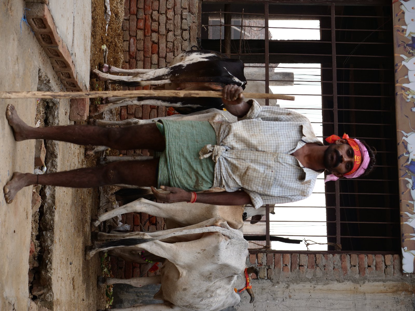  77 Gopashtami Radha kunda Govardhan 19.11.04